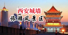 大鸡吧操烂小逼视频?中国陕西-西安城墙旅游风景区